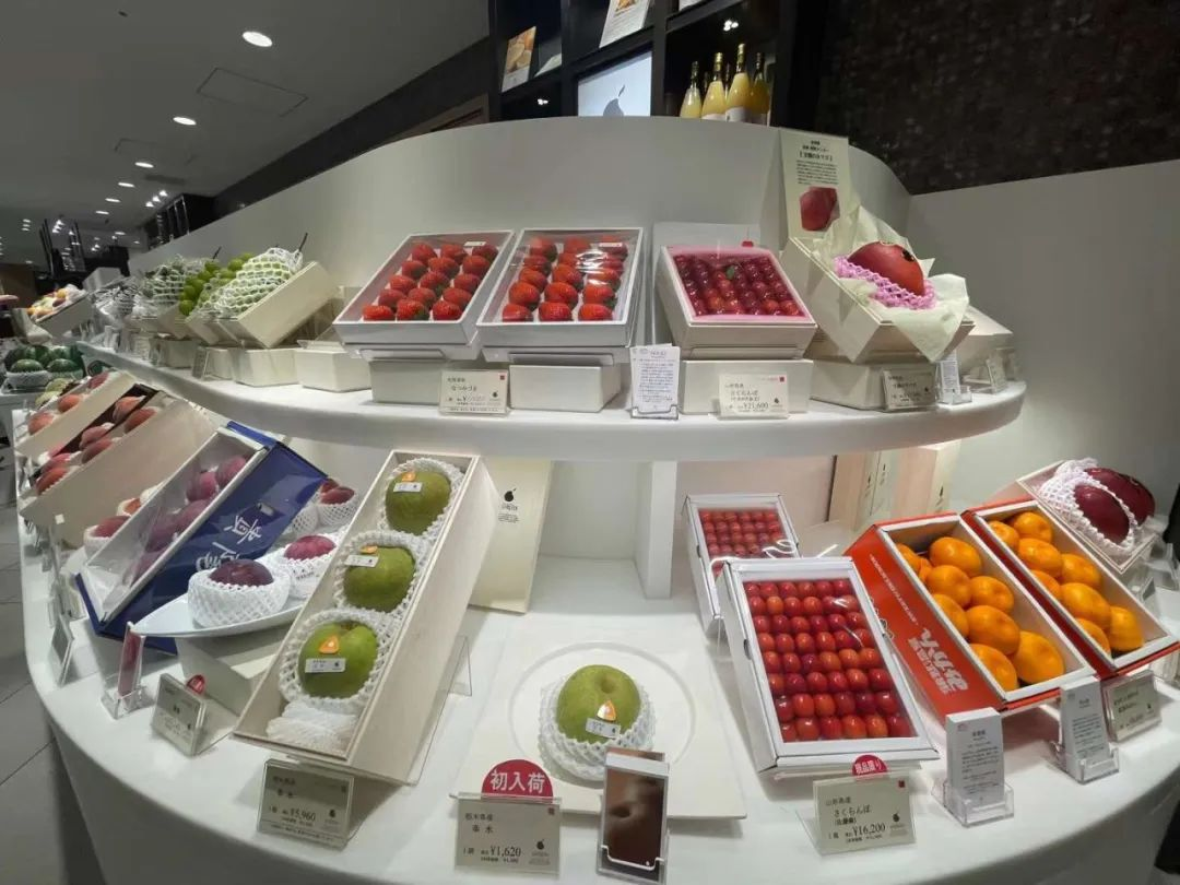 日本TRAIL超市陈列