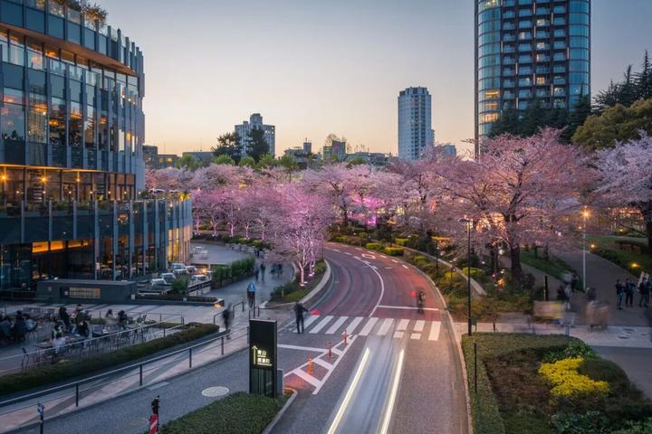 六本木中城，日本中产的老钱幻梦