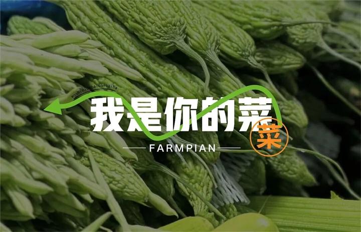 农贸市场VI设计：菜市场视觉设计