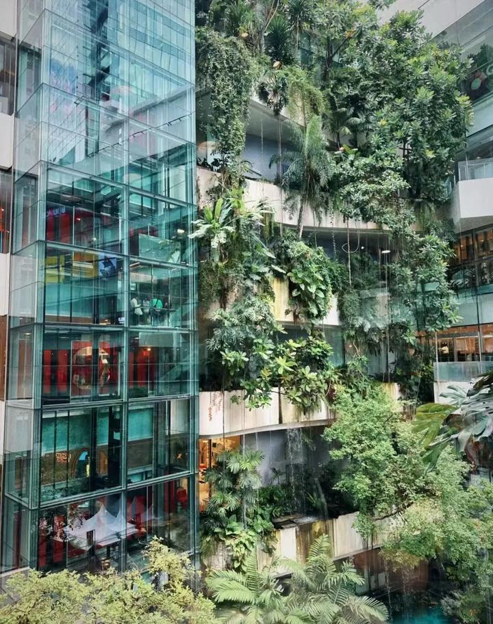 泰国商业为什么这么火