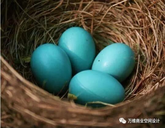 万维超市设计项目_Merryseason每时美季精品超市提案