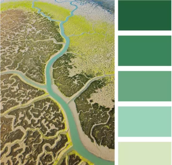 万维超市设计提案