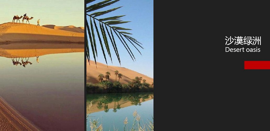 新华百货及物美超市概念设计 新华百货及物美超市概念设计