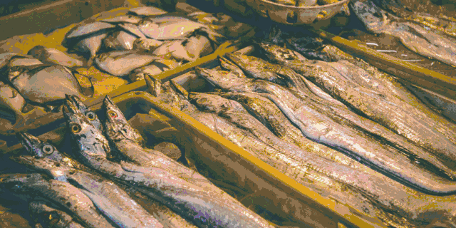 菜市场改造设计