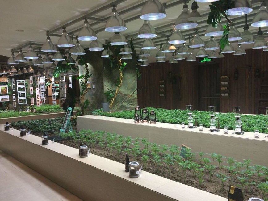 K11购物中心设计