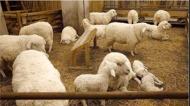 案例分析|购物中心如何变“年轻”？