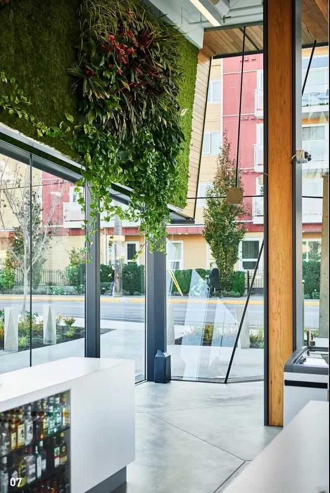 加拿大都铎之屋酒品店设计赏析